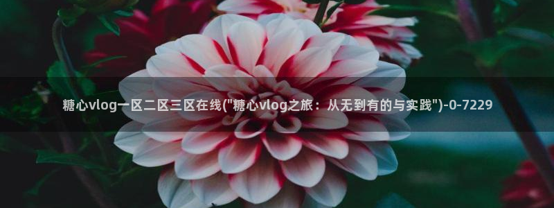 糖心小桃酱vlog