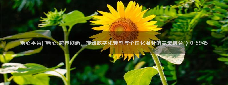 糖心vlog软件下载
