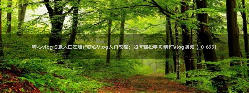 糖心vlog在线时间