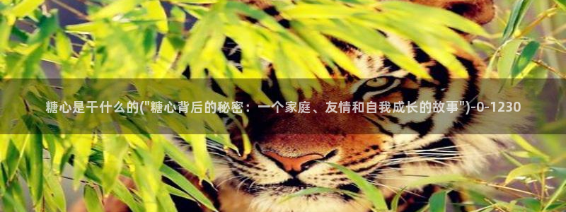 糖心vlog入口