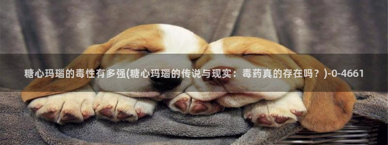 糖心vlog破解免费苹果