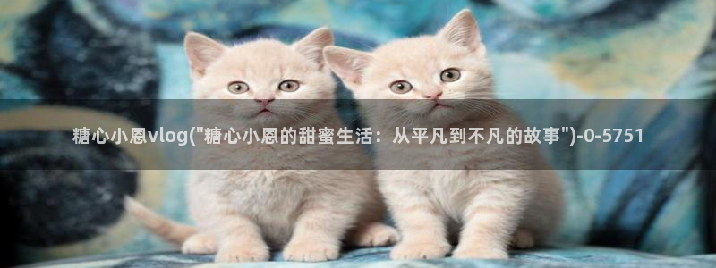 糖心vlog许木学长