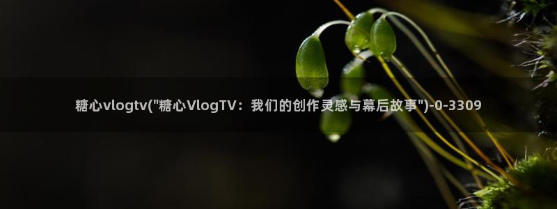 糖心vlog全部作品