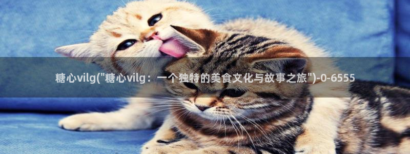 心糖vlog在线