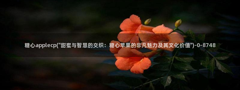 糖心vlog小二