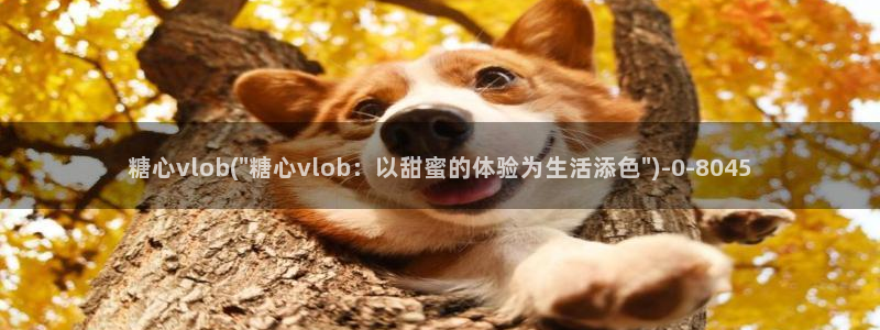 糖心vlog在线观看高清
