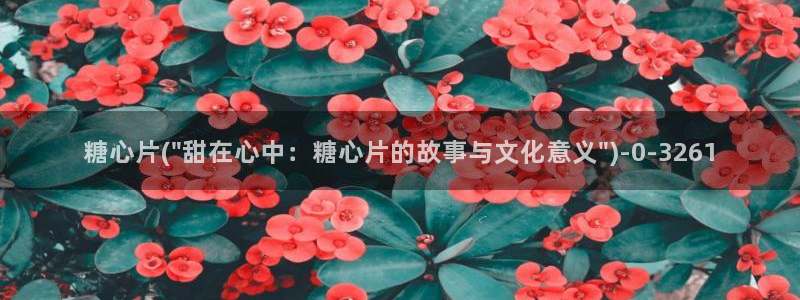 糖心vlog·com