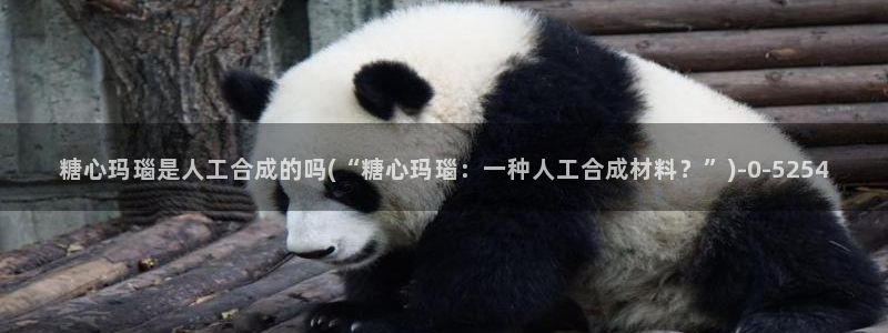 心糖vlog在线免费播放