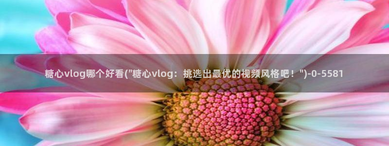 什么是糖心vlog