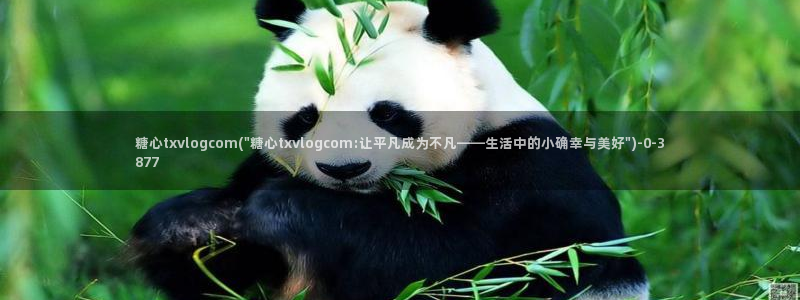 糖心vlog最新网站
