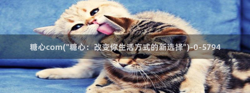糖心的vlog日常